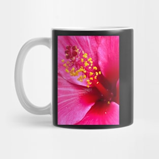 Pink Hibiscus Mug